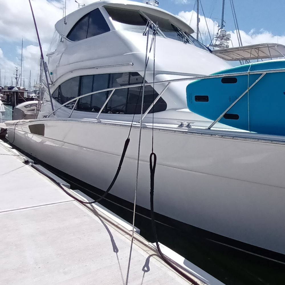 Dock Line / Rope Holder by Hauraki Fenders - 316 stainless steel, marina rope holder 